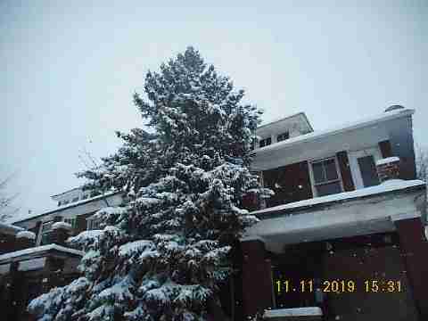 3319 Pingree (3)_m.jpg